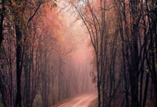 天涯长江论坛：畅谈长江文化的在线聚会